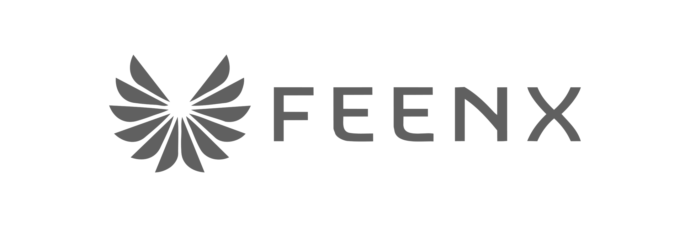 FeenX